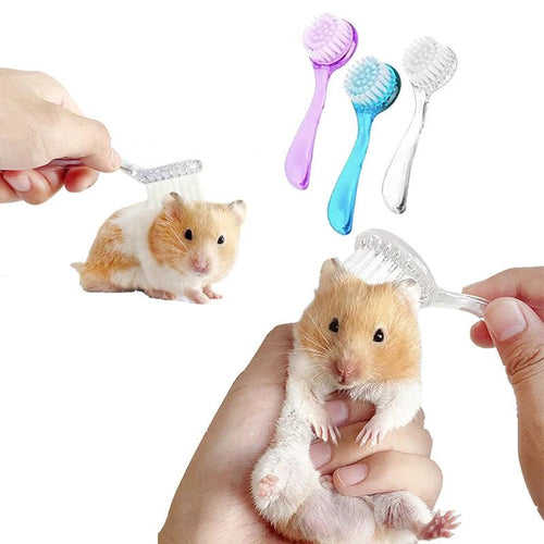 Hamster Brush Small Animal Bath Brush with Lid Soft Cleansing Brush Massage Combs for Hedgehog Guinea Pig Rabbit Chinchilla - Ammpoure Wellbeing 🇬🇧